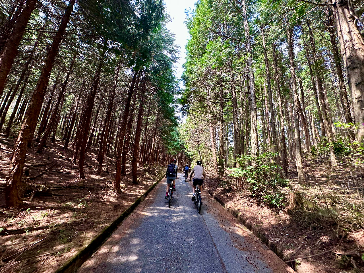 eɓĂ݂ƁAтɈ͂܂ꂽĈѓ܂B]Ԃł邿Ƃ`Ă݂Ă͂ł傤