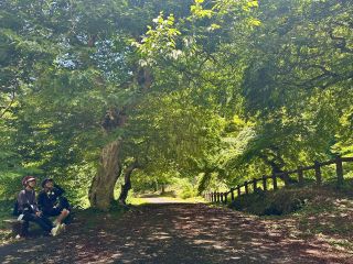 ボタニカルな非日常空間へ…