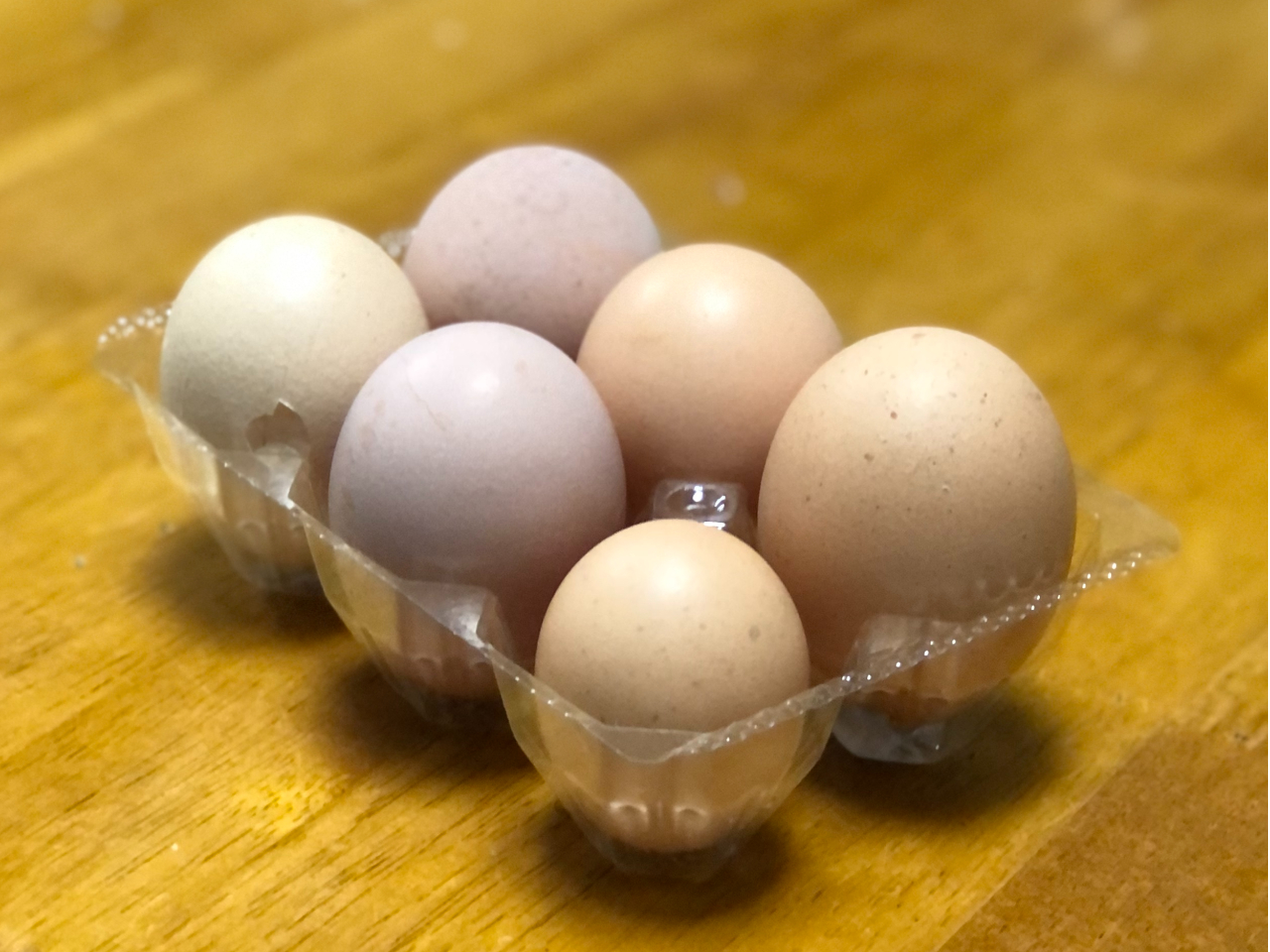 fA؂AĂȂǍRsgp̉aHׁARɓĂ邩痑傫AFA`ooBꂪ̎RȗłB