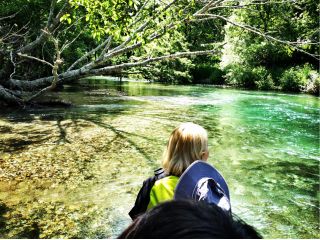 綺麗な川を体験してください