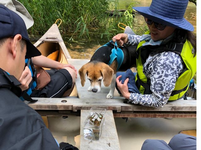 愛犬とご一緒に