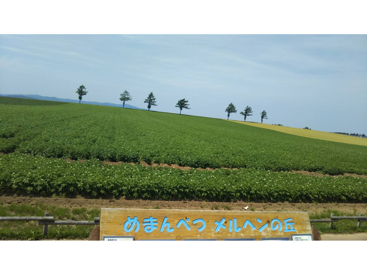 【タクシー貸切3時間プラン】タクシーでラクラク観光地巡り♪