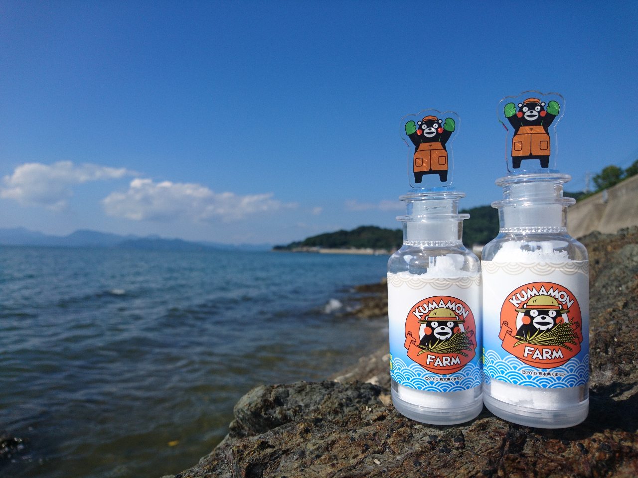 ��������͂��܃������f�U�C�����ꂽ�r���ɋl�߂Ď����A��ł��܂��B