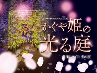 かぐや姫の光る庭 月に作、光の桜