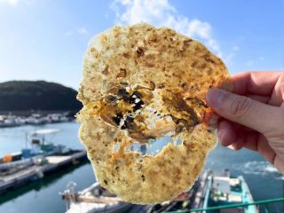 牡蠣せんべい