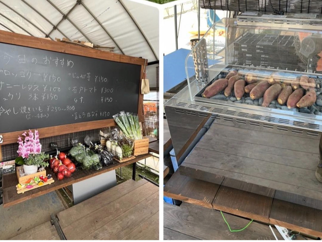 �������ł͒��̂��؂�A�Ă������̔����I