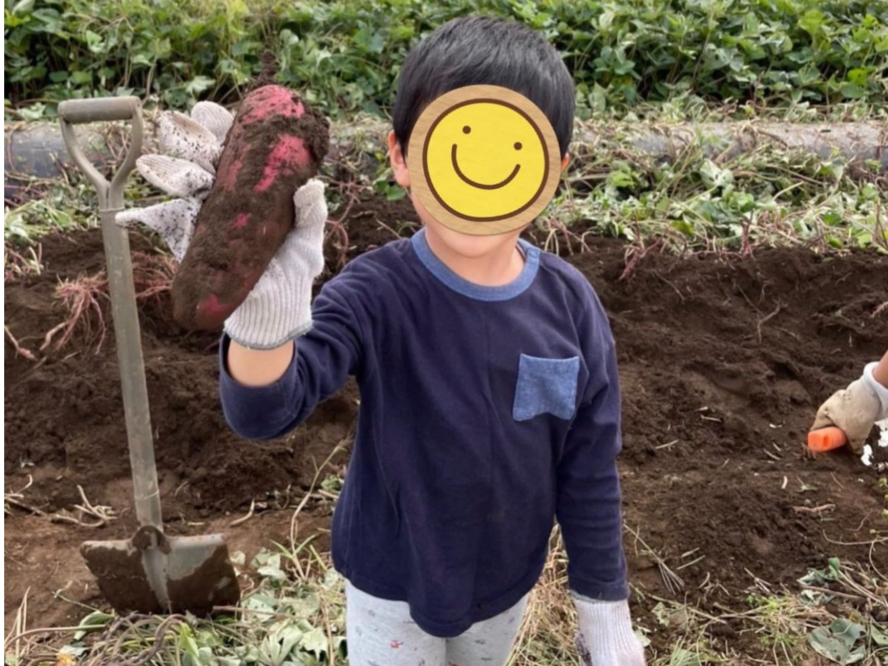 �C�G�`�C����ȑ傫���̍̂ꂽ��