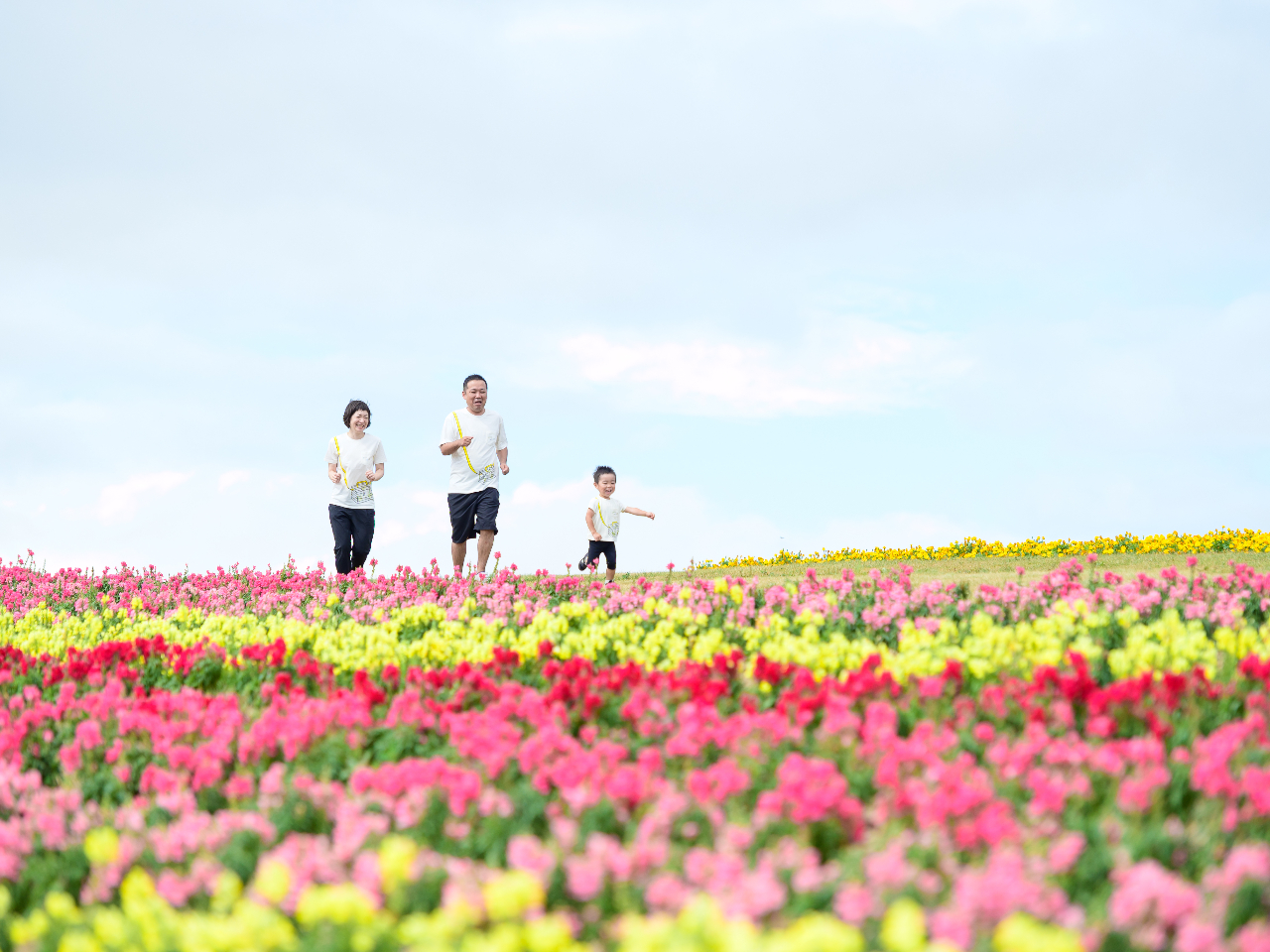 上富良野フラーワンド ロケーションフォト