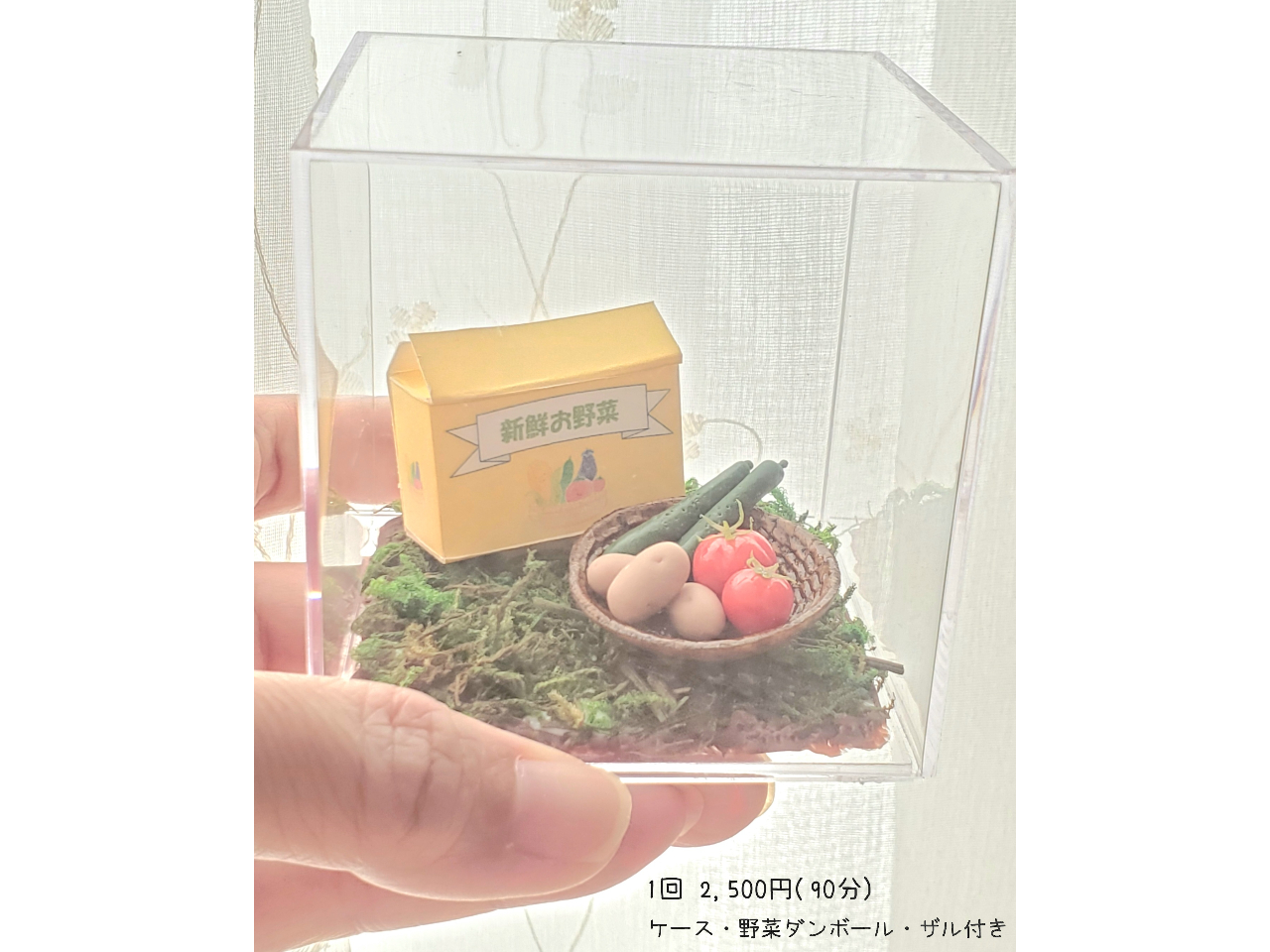 クリアケース・ミニチュア段ボール・ザル付き