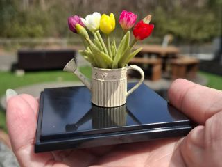 指先サイズのチューリップ