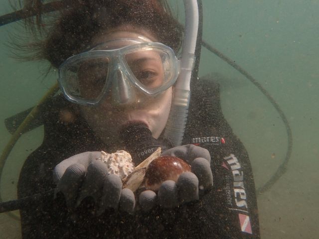 貝を拾って楽しげ!