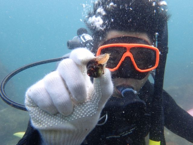 海中世界を満喫!