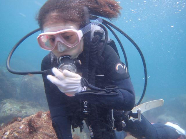 海の生き物達に視線は釘付け