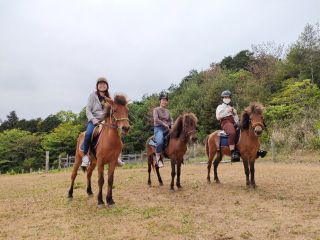 ブラシかけなどのふれあいから、 馬に乗って一人で動かすうま遊び体験。