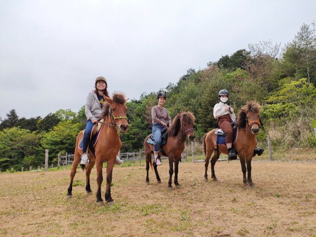 ブラシかけなどのふれあいから、 馬に乗って一人で動かすうま遊び体験。