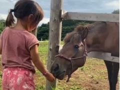 えさやり体験も可能♪うまたちとふれあいの時間を楽しんでください♪※別途200円