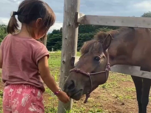 ̌\􂤂܂Ƃӂꂠ̎Ԃył􁦕ʓr200~