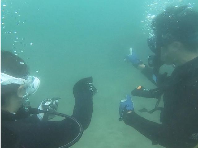 コンパスの練習