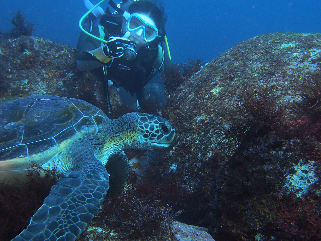 運が良ければ!?