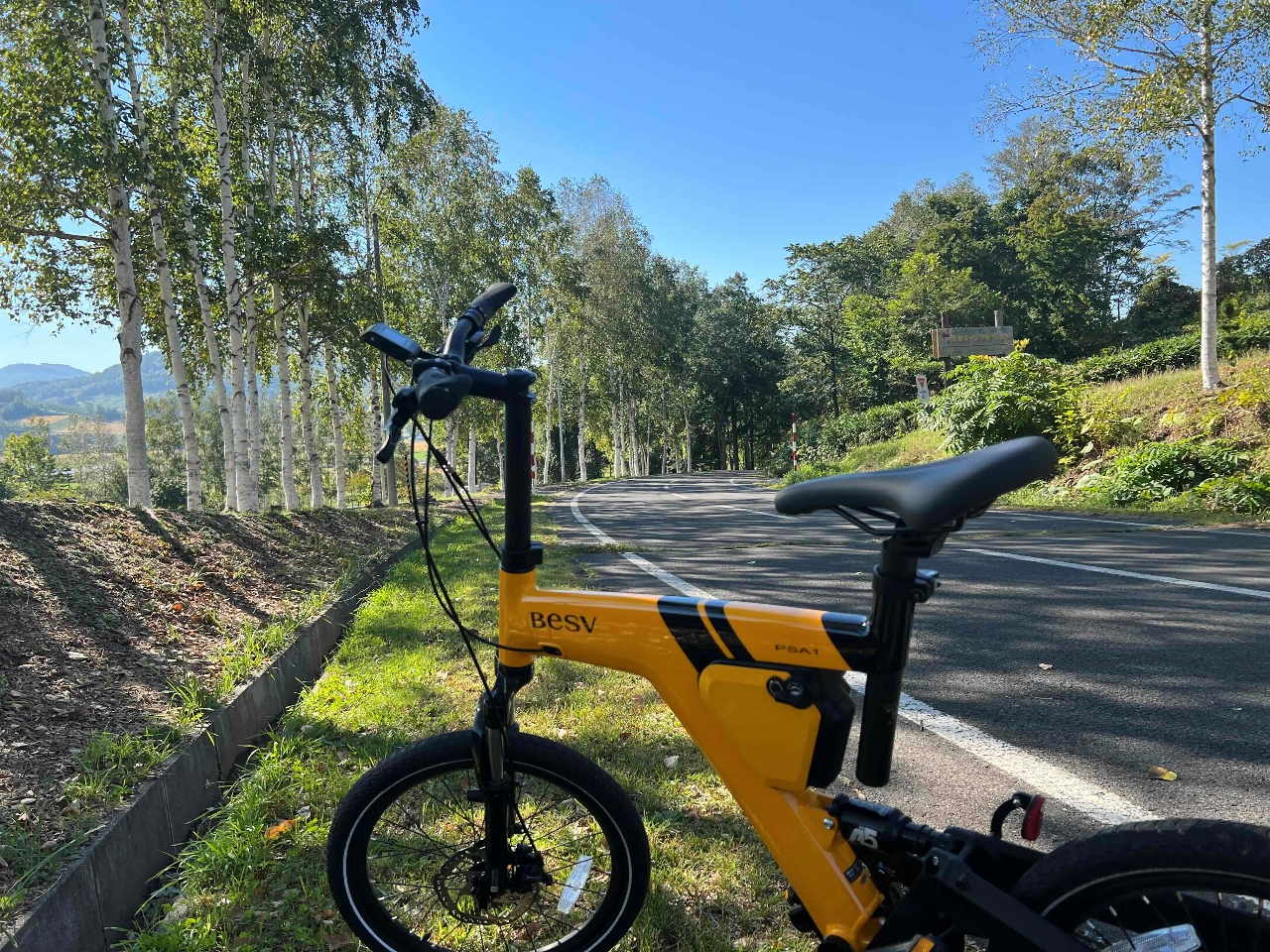 ジャンク品　BESV PSA1 電動アシスト自転車 ブラック ジャンク品BESV PSA1 電動アシスト自転車 ブラック