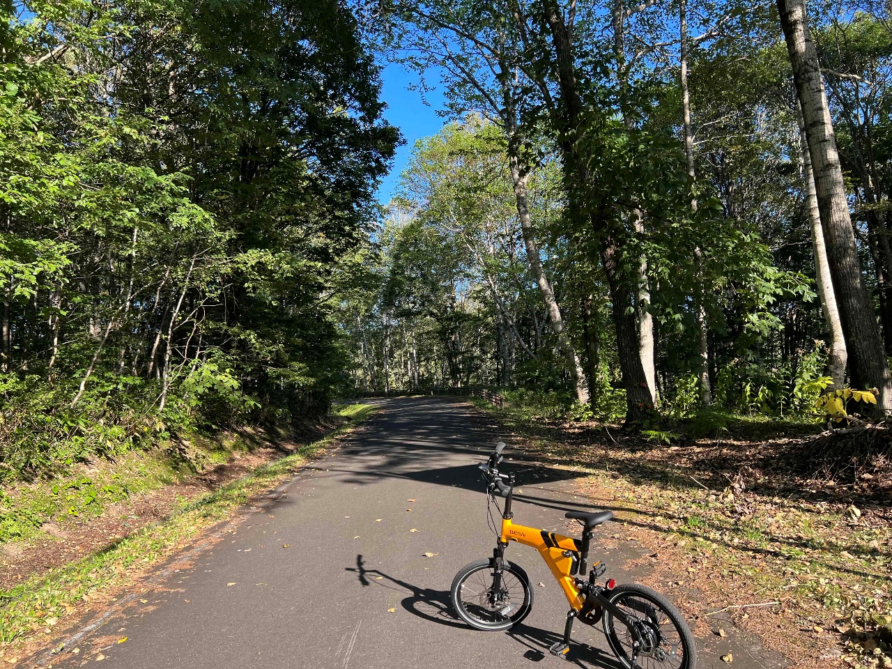 ̃v̎]Ԃ͎ʐ^̎]Ԃł͂܂B