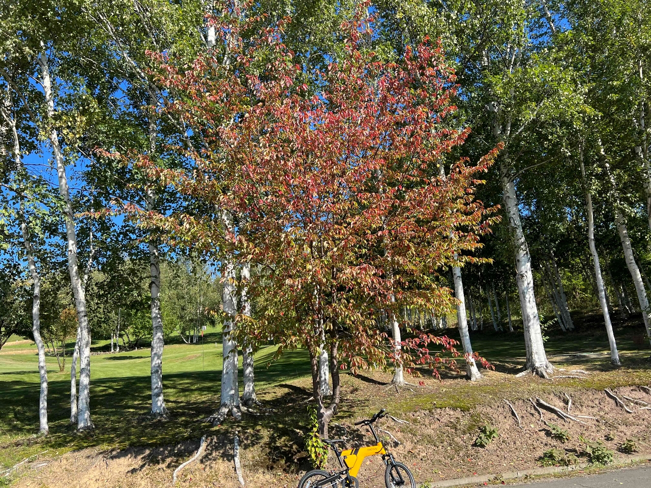 ̃v̎]Ԃ͎ʐ^̎]Ԃł͂܂B