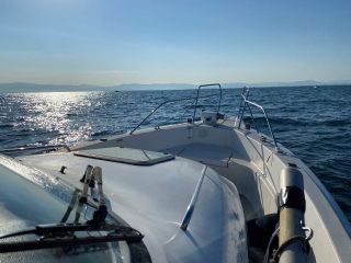 沖からの新潟市