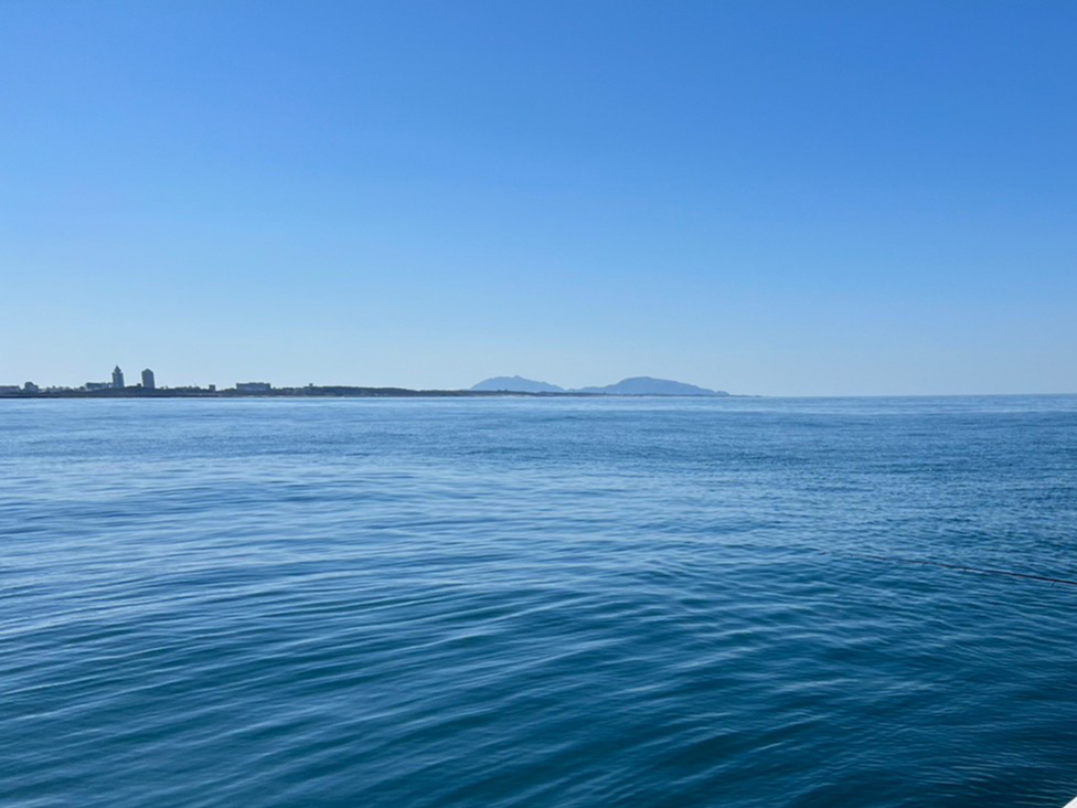 C̐^񒆂ŃJAg̉𕷂Ȃ烊p{p