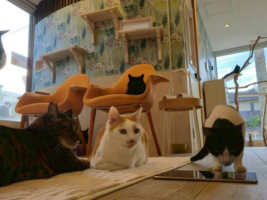 �������������Ă��������ˁ�