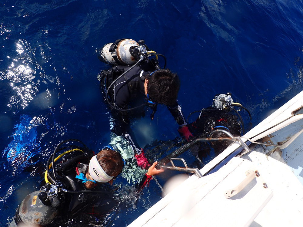 ͂ɂ܂Ȃ炵KI\Ă琅֍s