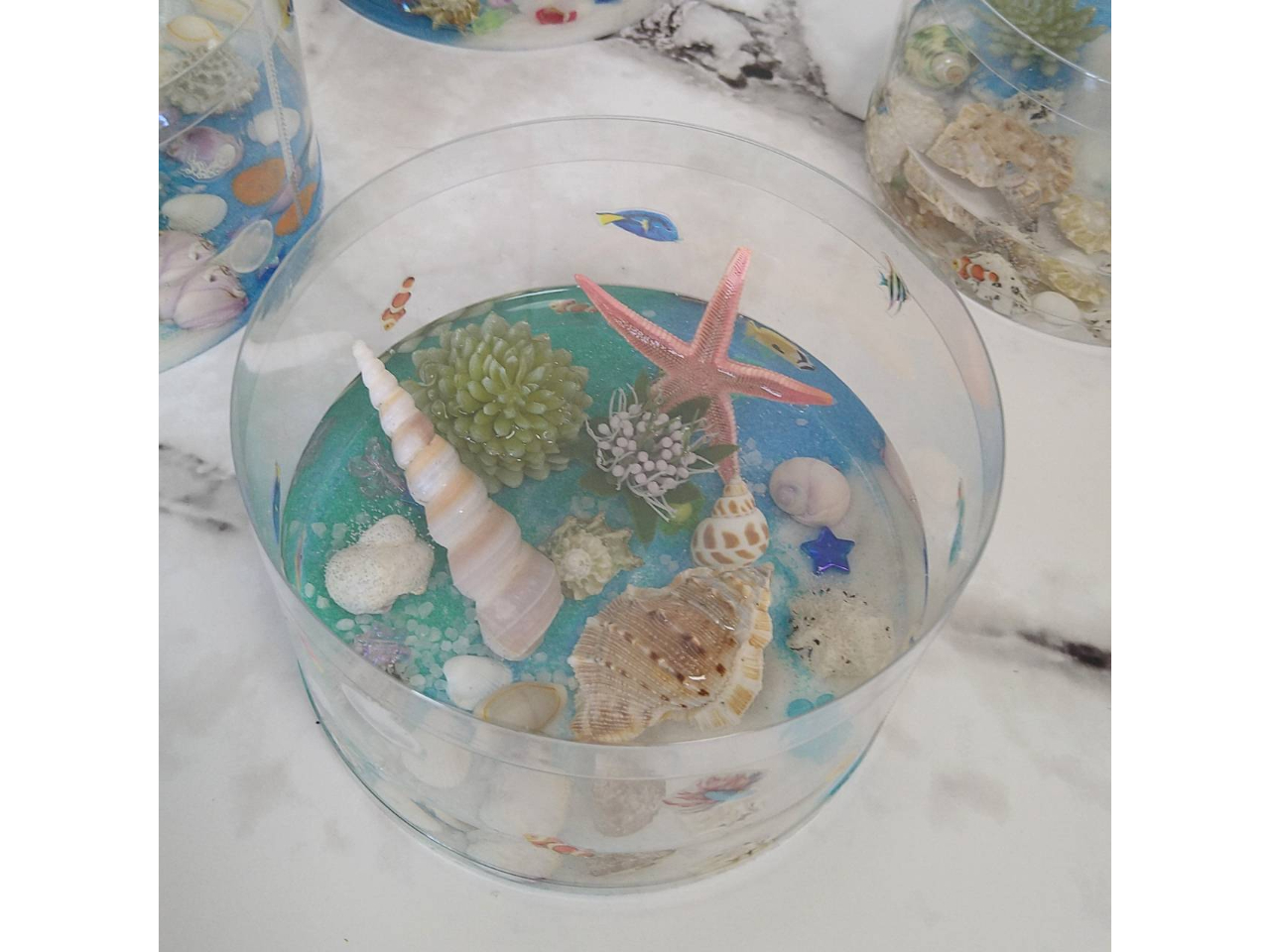 アクアリウム ※小学生作成例