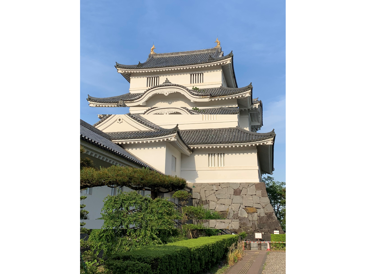 命UȂzoɂIXX̃ANZXłI