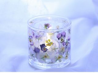 ビオラのジェルランタン