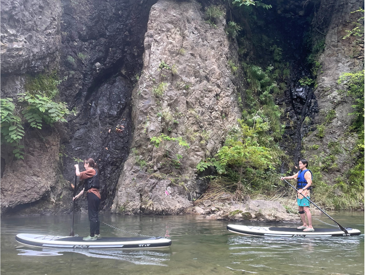 DyS40ADysƂ͎vȂP[VւēB