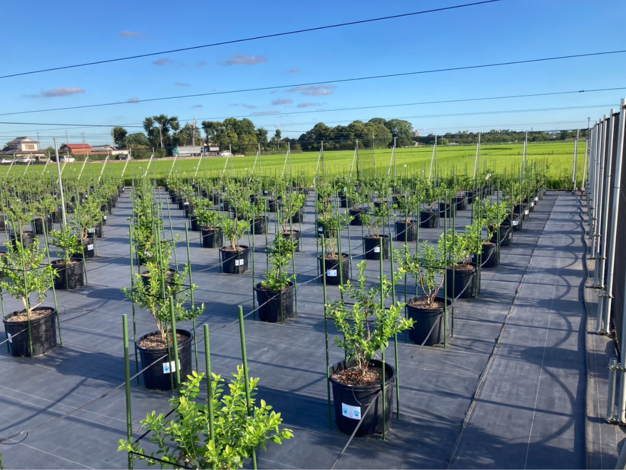 ̓V[g~ĂiȂו₷AvCȂǂ̂ȌCł܂