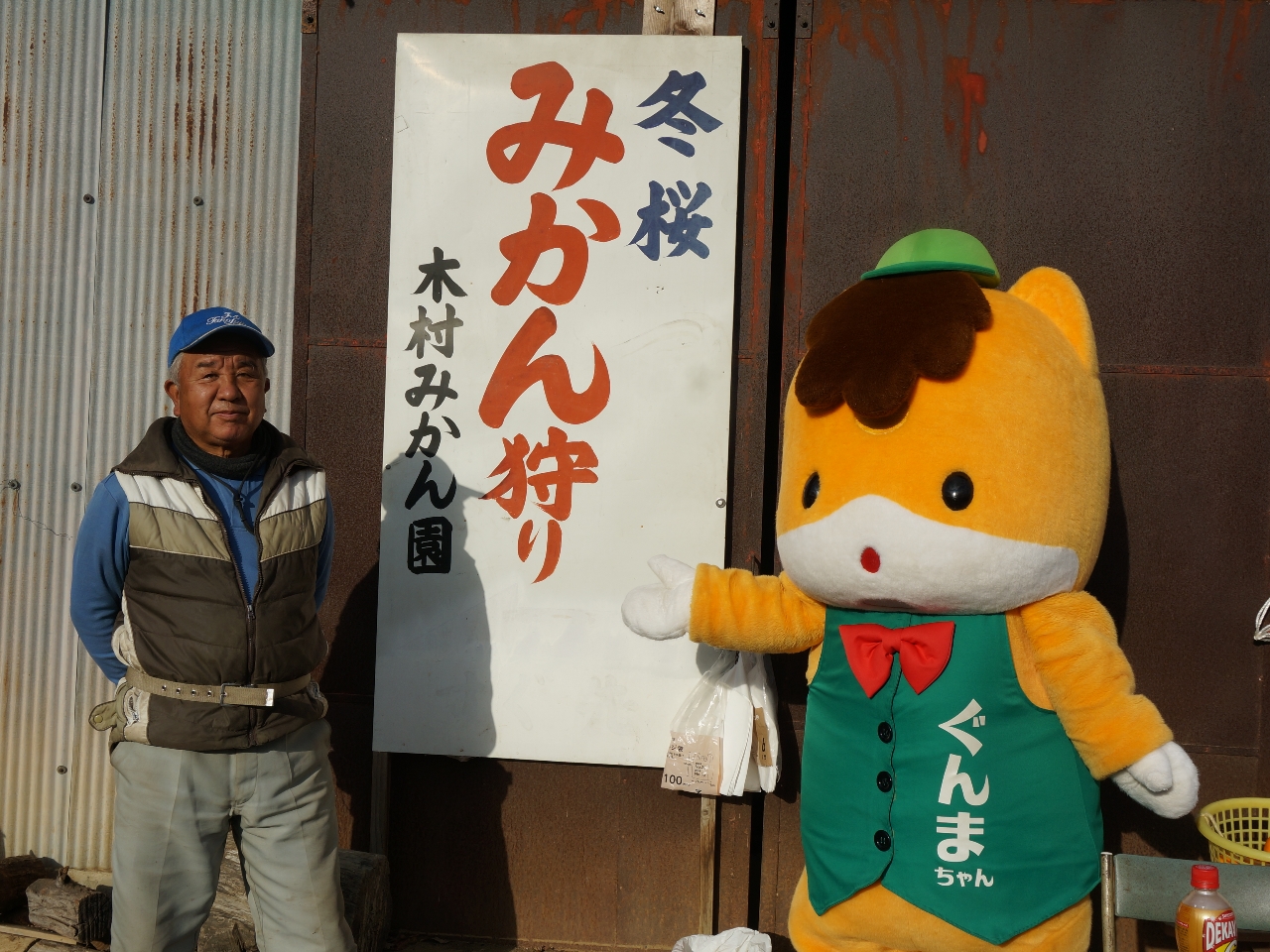 ぐんまちゃんがミカン狩りに来ました!