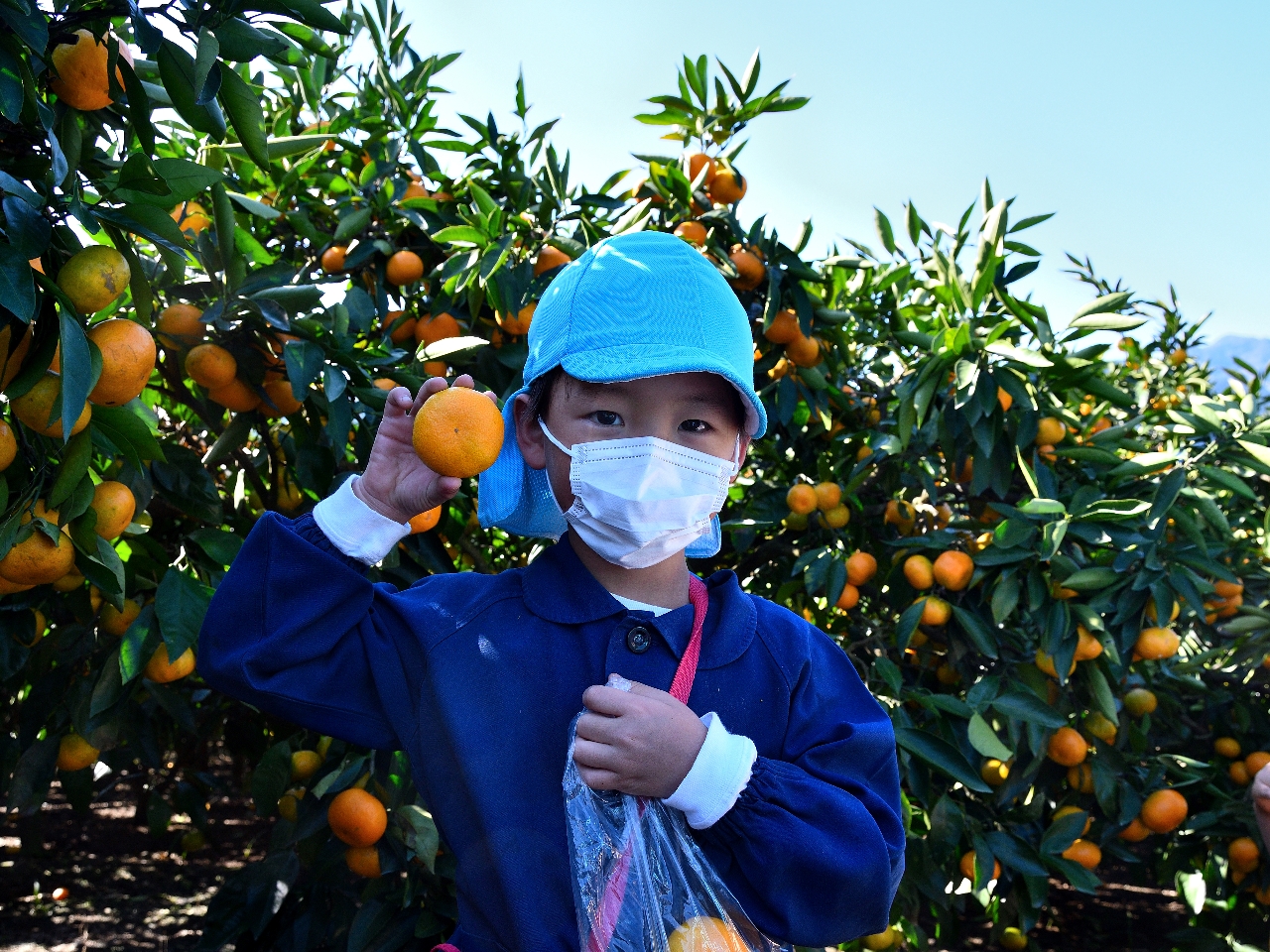 お子様にも楽しんでいただけます!