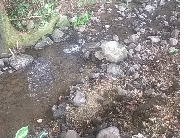 Lv𗬂鐴łB򂩂ɌNAz^N炵Ă܂B