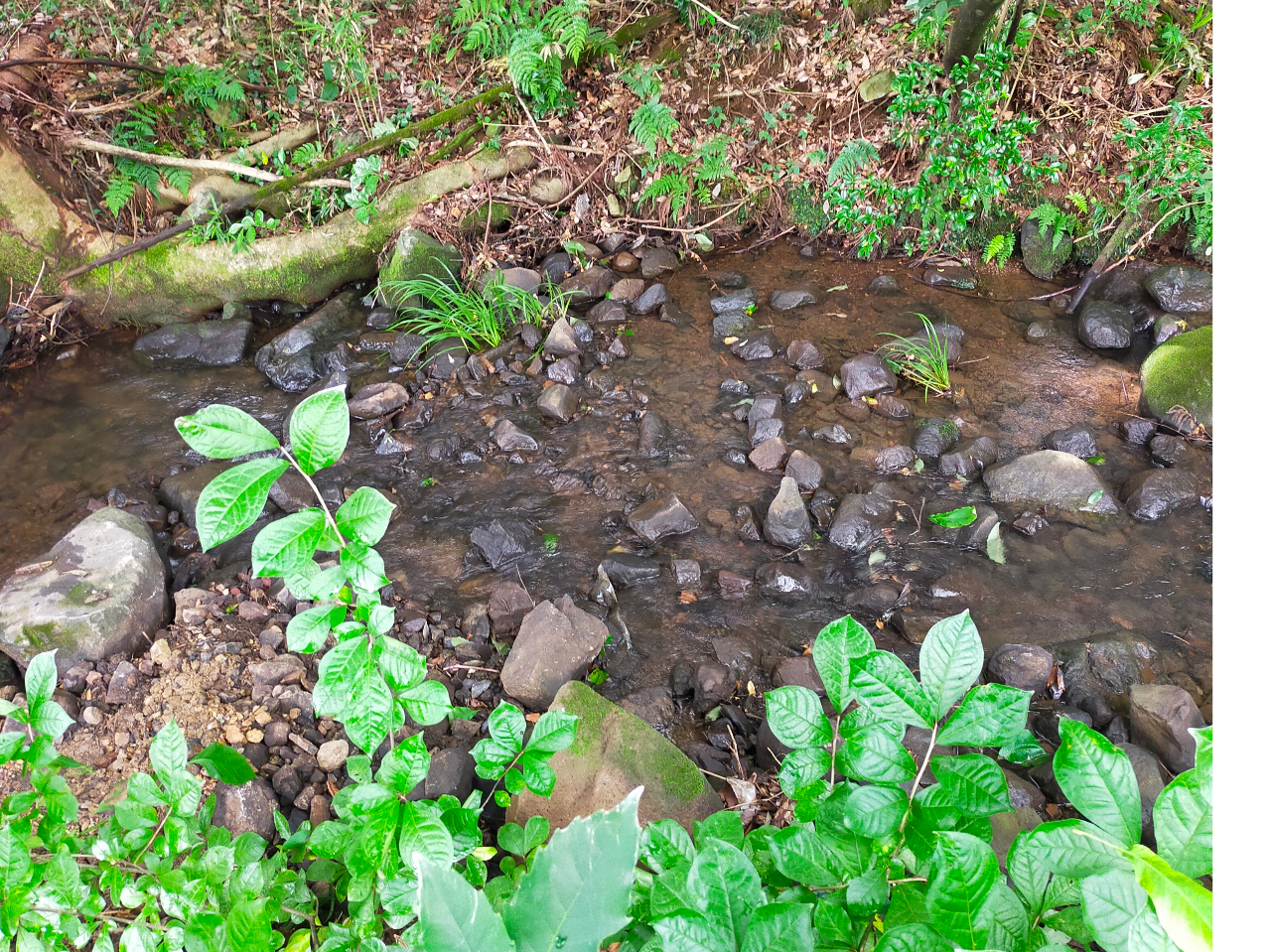 Ăł炢ɗłBqlɐlCłBKj񂢂܂B