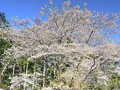 �傫��2�{�̍��̉��Ńo�[�x�L���[���ł��܂��B