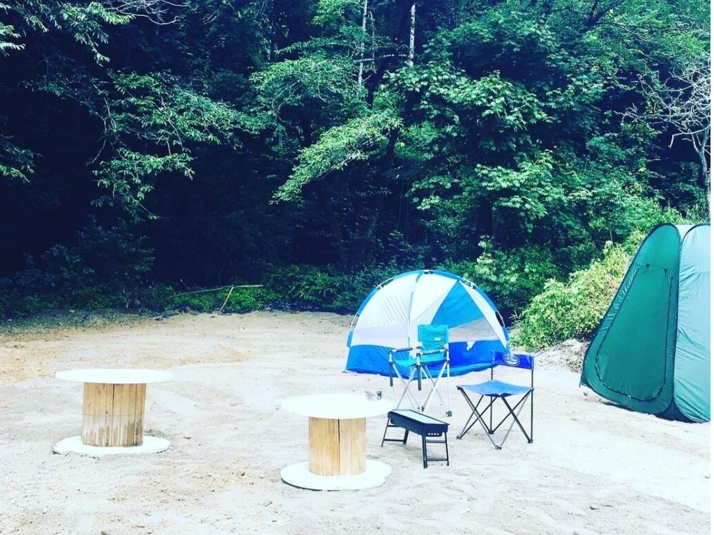 R̗΂Ɉ͂܂ꂽ̖؃TCgłB