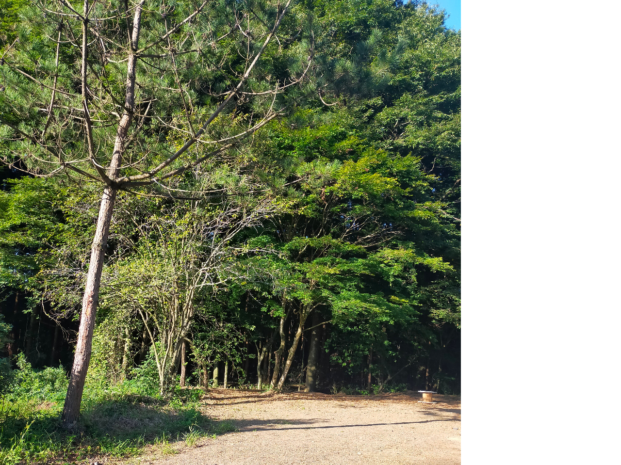 RƋaoLvłB^Ǘ{݂Ƃ͈Ⴄyݕ̊ĉ!