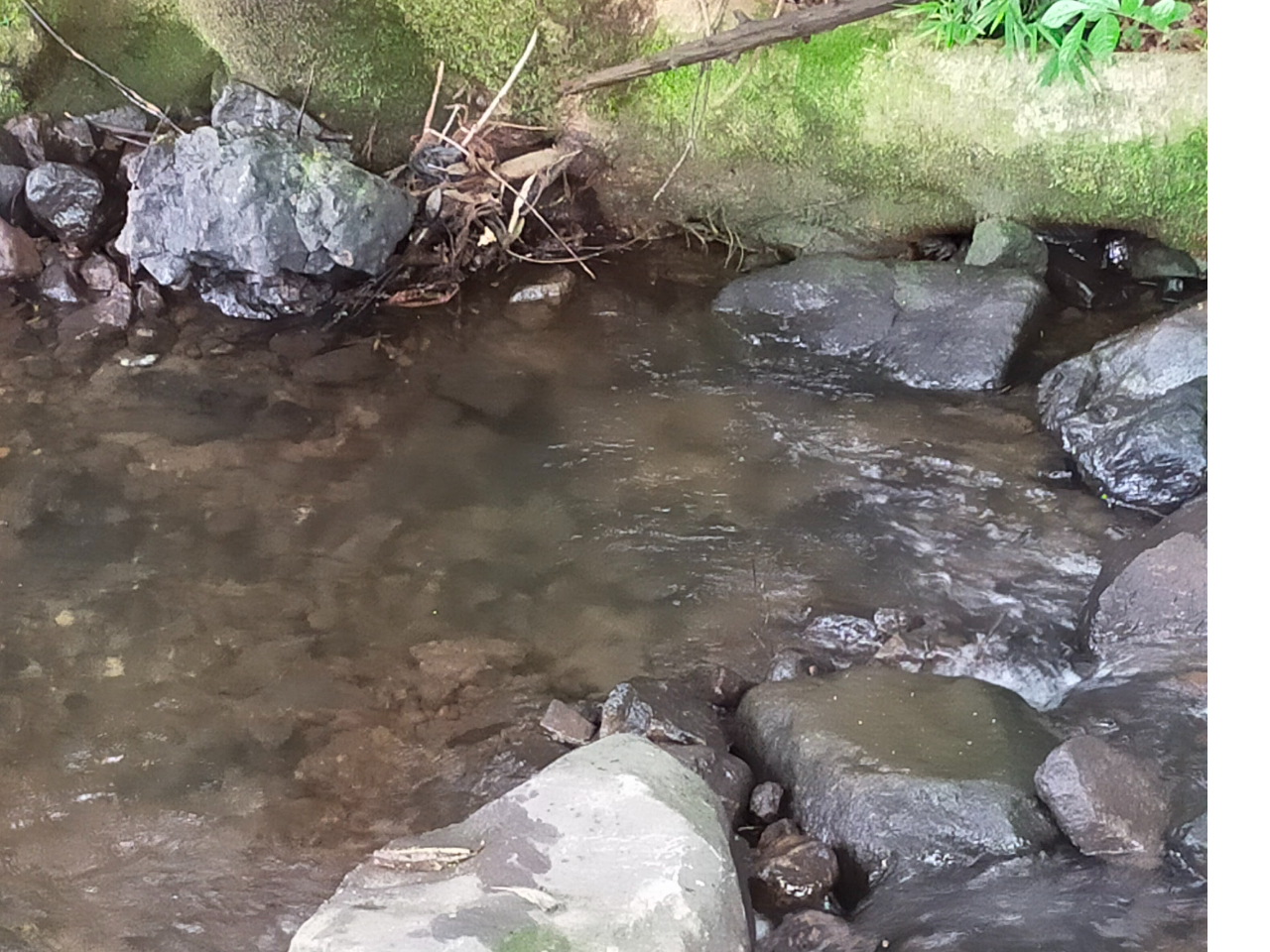 Ȑ̃v[L肨qlA̕ɊŒĂ܂B