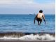 海に飛び込むのも◎冷水シャワーや折りたたみ水風呂の貸出もあります。