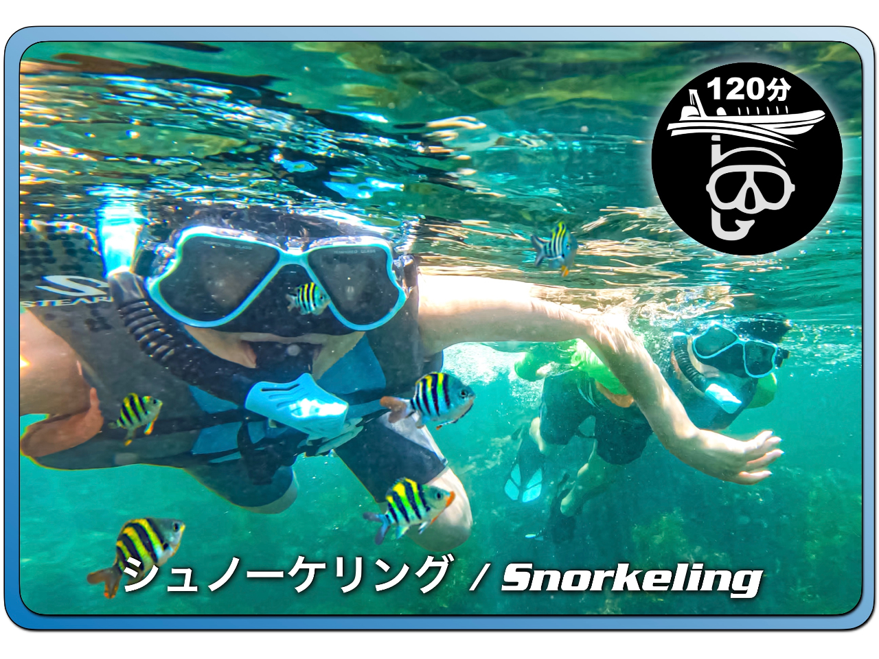 ★【千葉・勝浦】BOAT SNORKELLING 関東の沖縄で2時間シュノーケ...