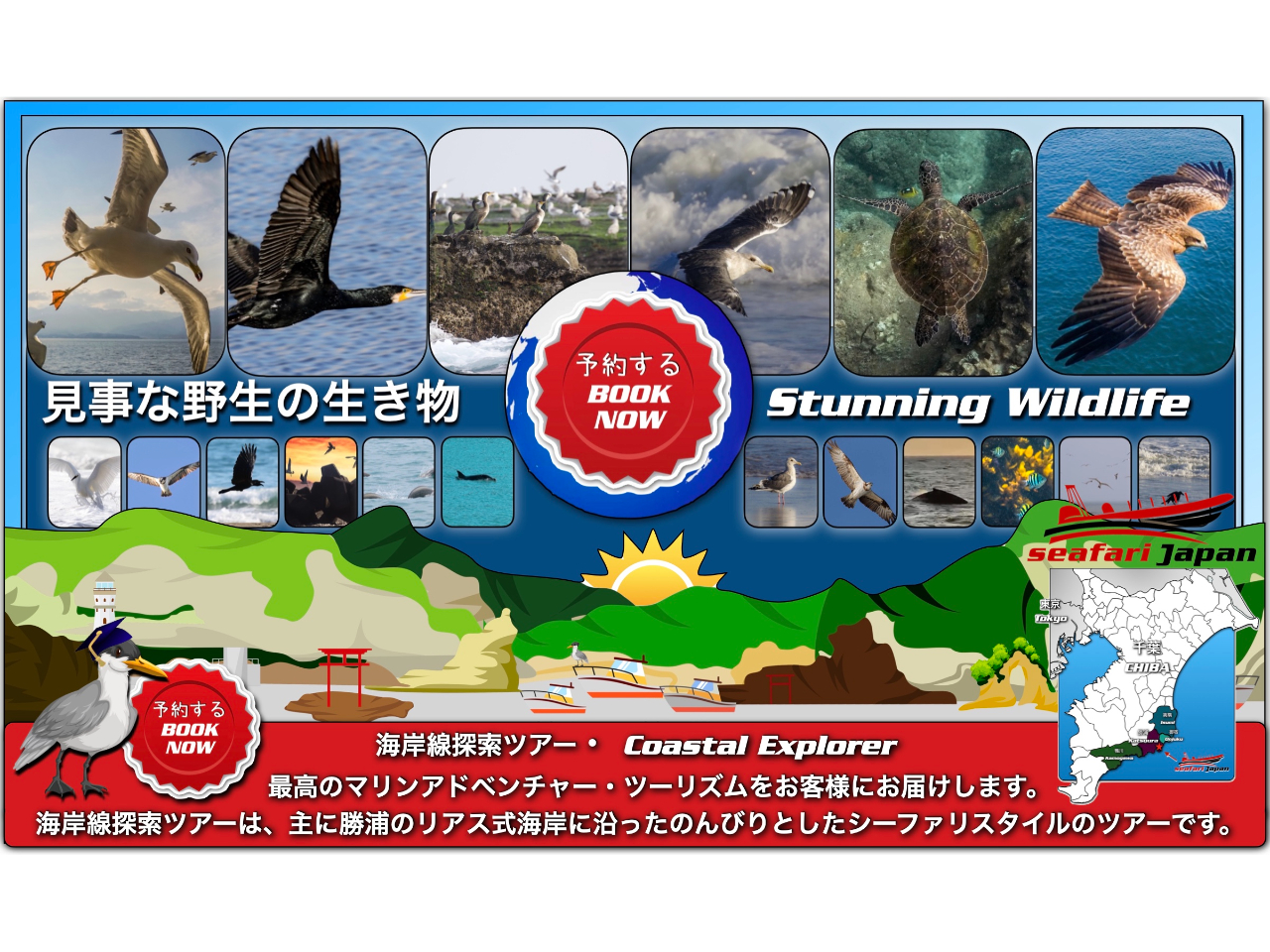 勝浦の自然を肌で感じてみて下さい。 空には鳥!海には魚なども見えたりします!