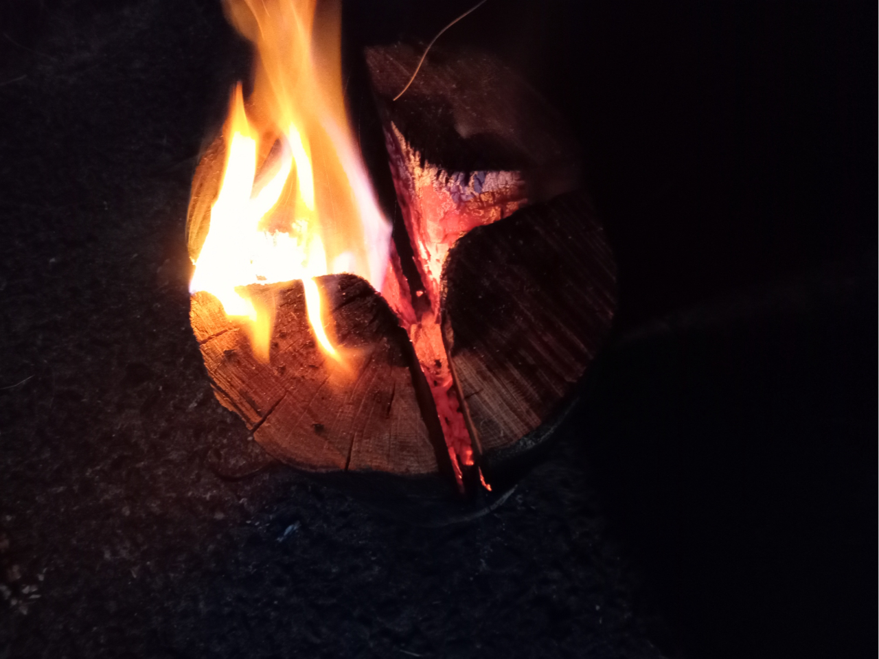 ACX^fڂ́IXEF[fg[`̔@P{1,500~`@