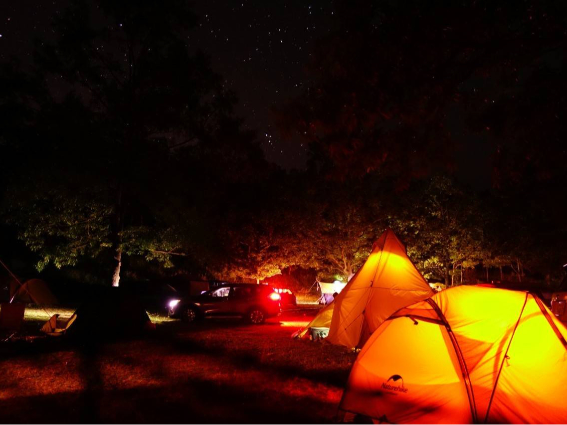 egɎԂtł̂ǍLv̖͂̂ЂƂ