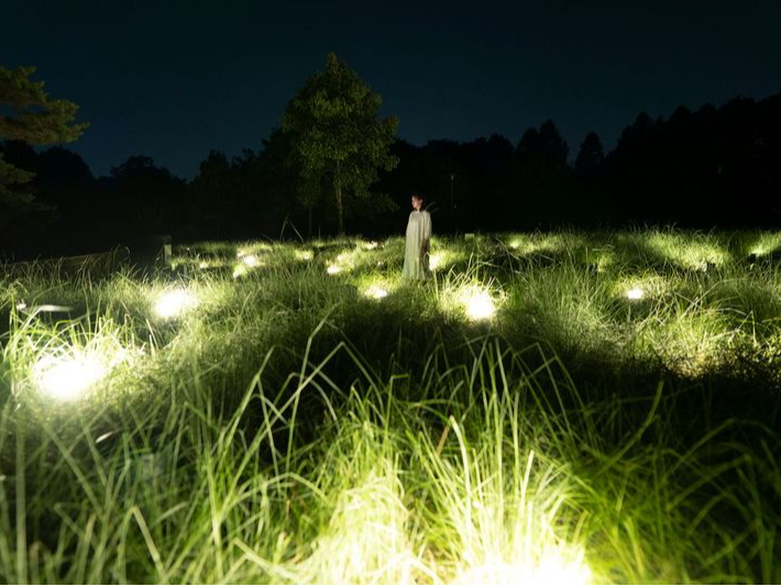 入場チケット】（9月）チームラボボタニカルガーデン大阪 ◎直前予約OK