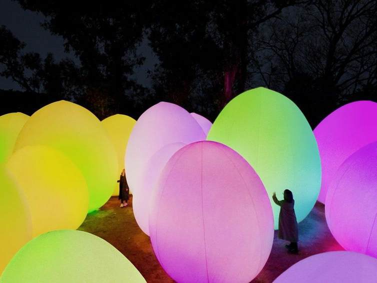 ユーカリの広場に密集して立ち続ける光のovoid(卵形体)は、人にかき分けられたり、風に吹かれたりして倒れると、立ち上がりながら光の色を変え、音色を響かせる。